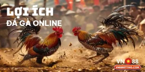 Lợi ích của đá gà online VN88