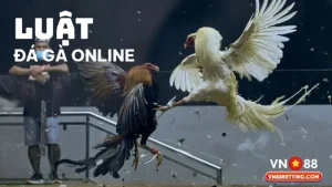 Luật đá gà online VN88